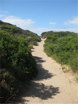 Beach Track